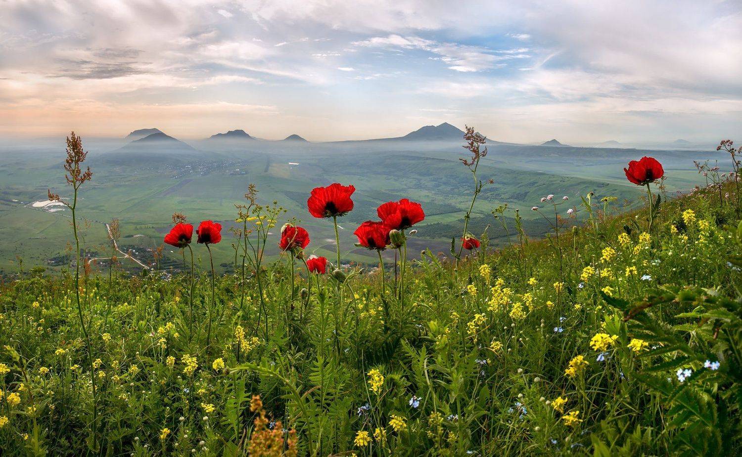 весна, Ставропольский край, горы, Бештау, туман, мак, рассвет., Лашков Фёдор