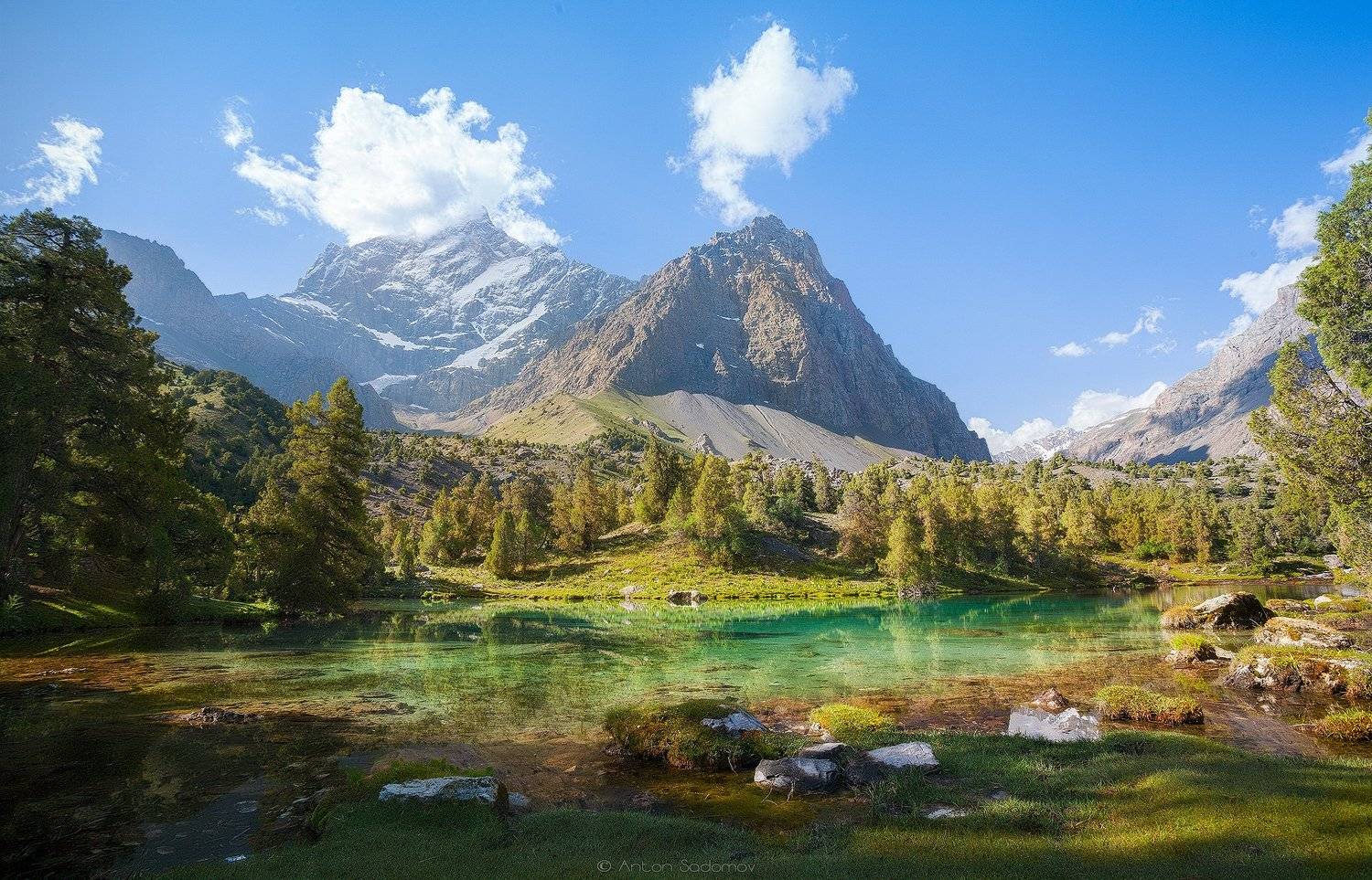 , Антон Садомов