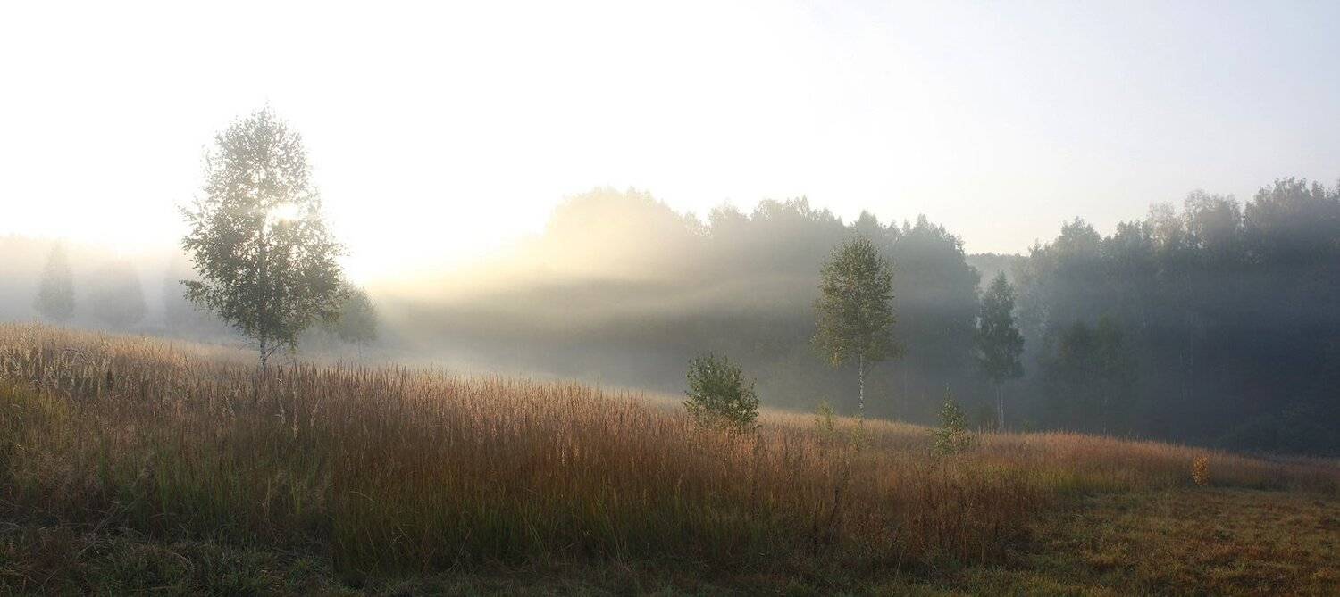 осень, Свистков Александр