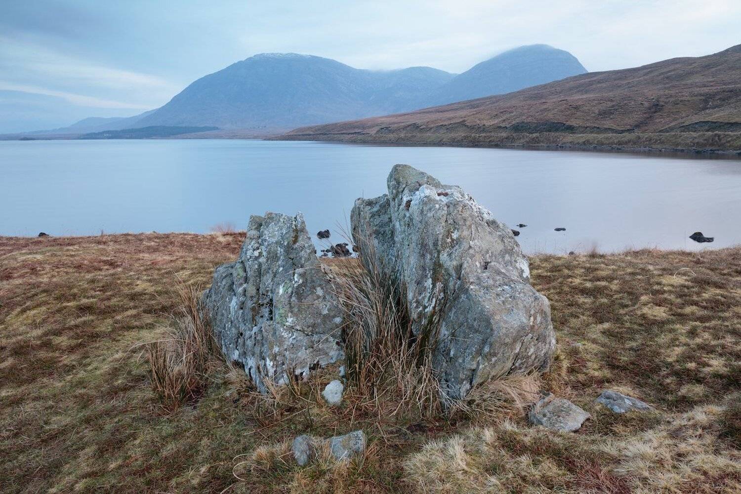 , Питенин Дмитрий