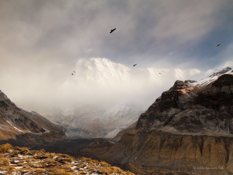 Гималаи, Непал, Аннапурна I, базовый лагерь, весна, птицы, снег, ледник, вершина, массив, гора, морена, рассвет, утро Рассветная фото превью