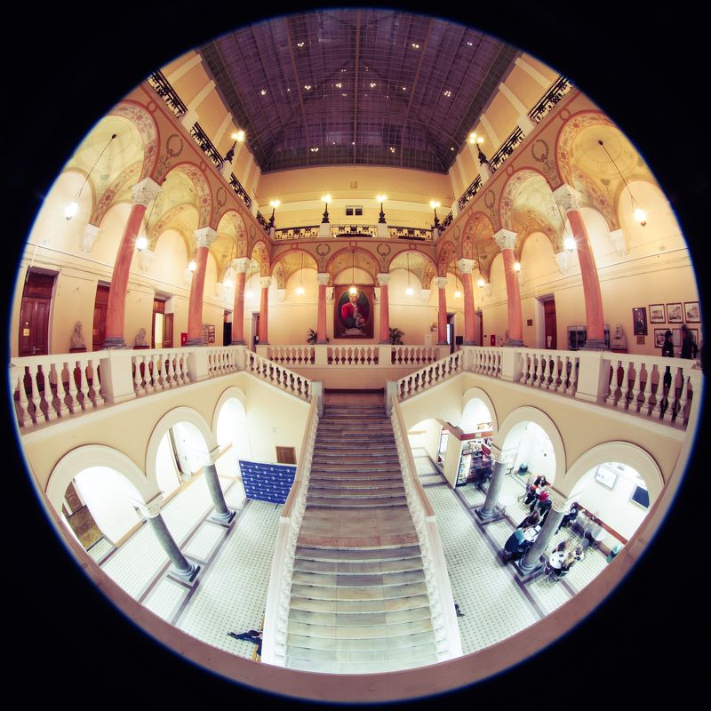 МГУ Журфак Журфак МГУ фото превью