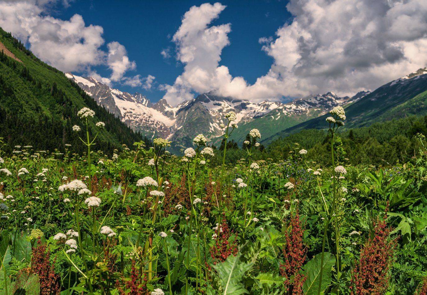 , Игорь Мелекесцев