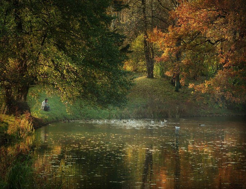 Nostalgia фото превью