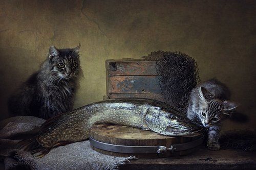 Почему у тебя такие большие зубки?