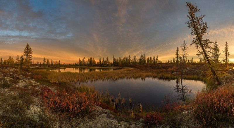 осень, пейзаж, сентябрь, ямал, сибирь, янао, озеро Вот и осень фото превью