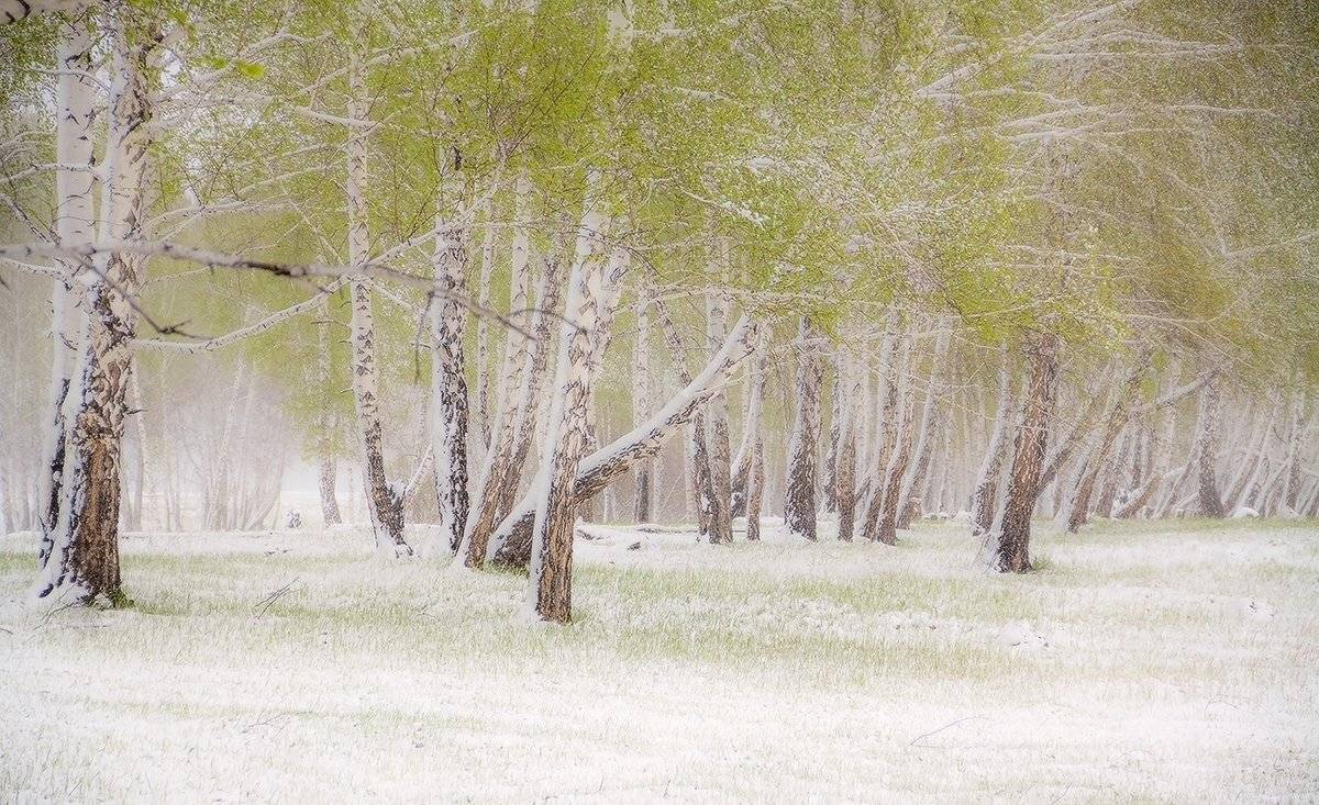 , Николай Морский