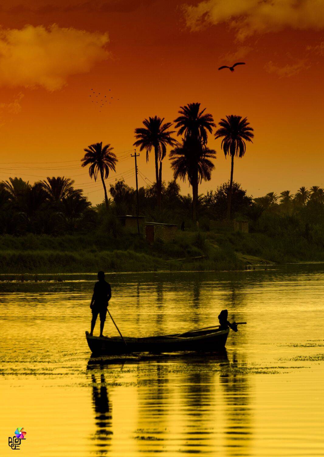 iraq, Ali Ali Sabih Kadhim