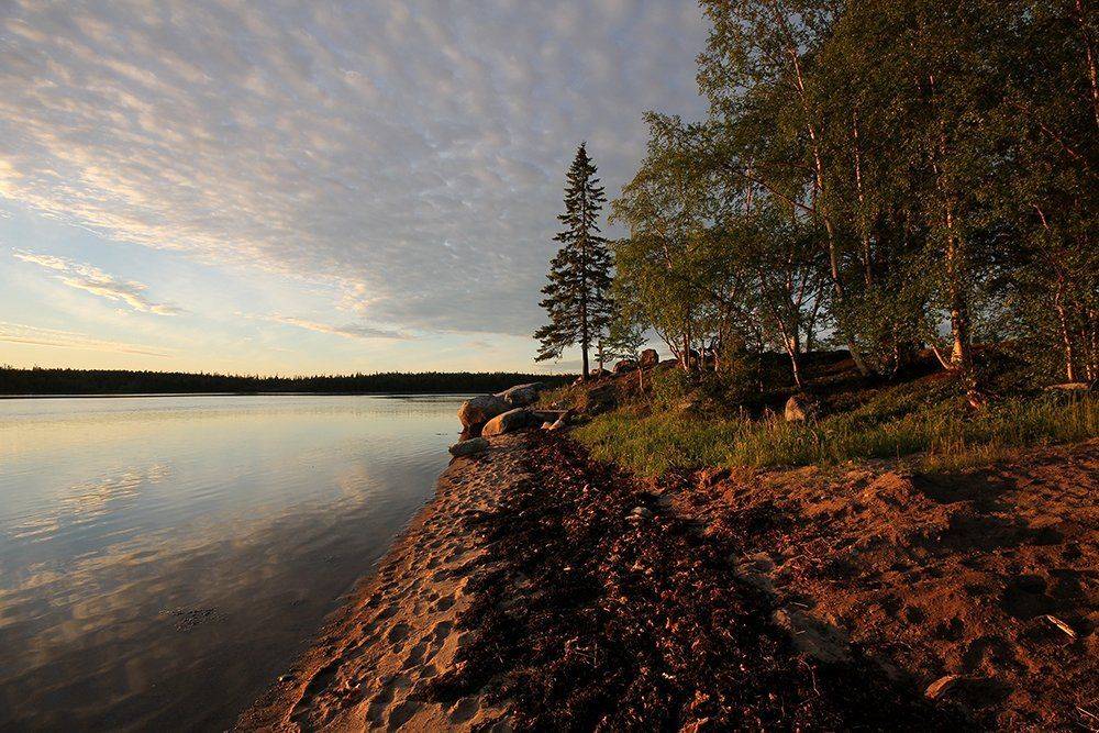 , Иваненко Светлана