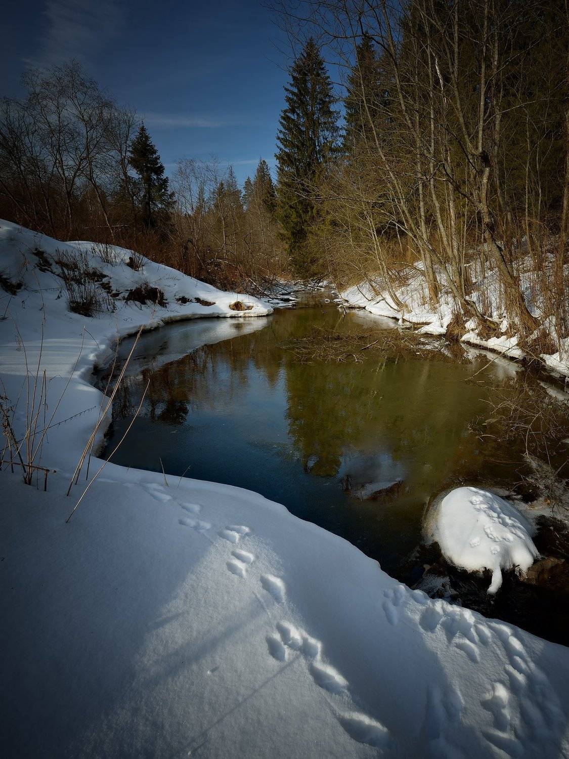 , Алексей Никонов