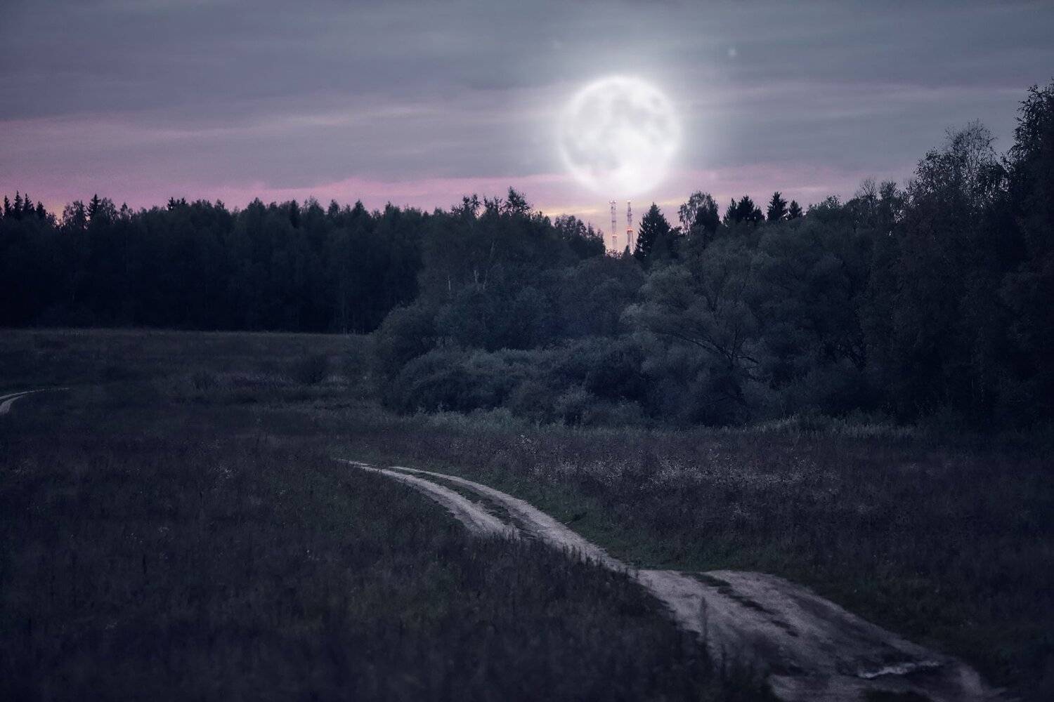 , Булатов Дмитрий