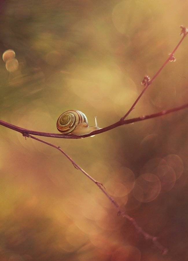 , Pawel Plucinski