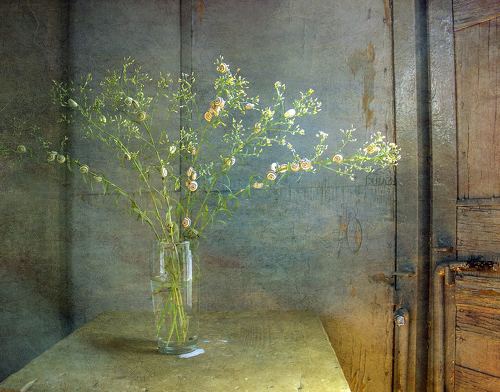 С улитками.