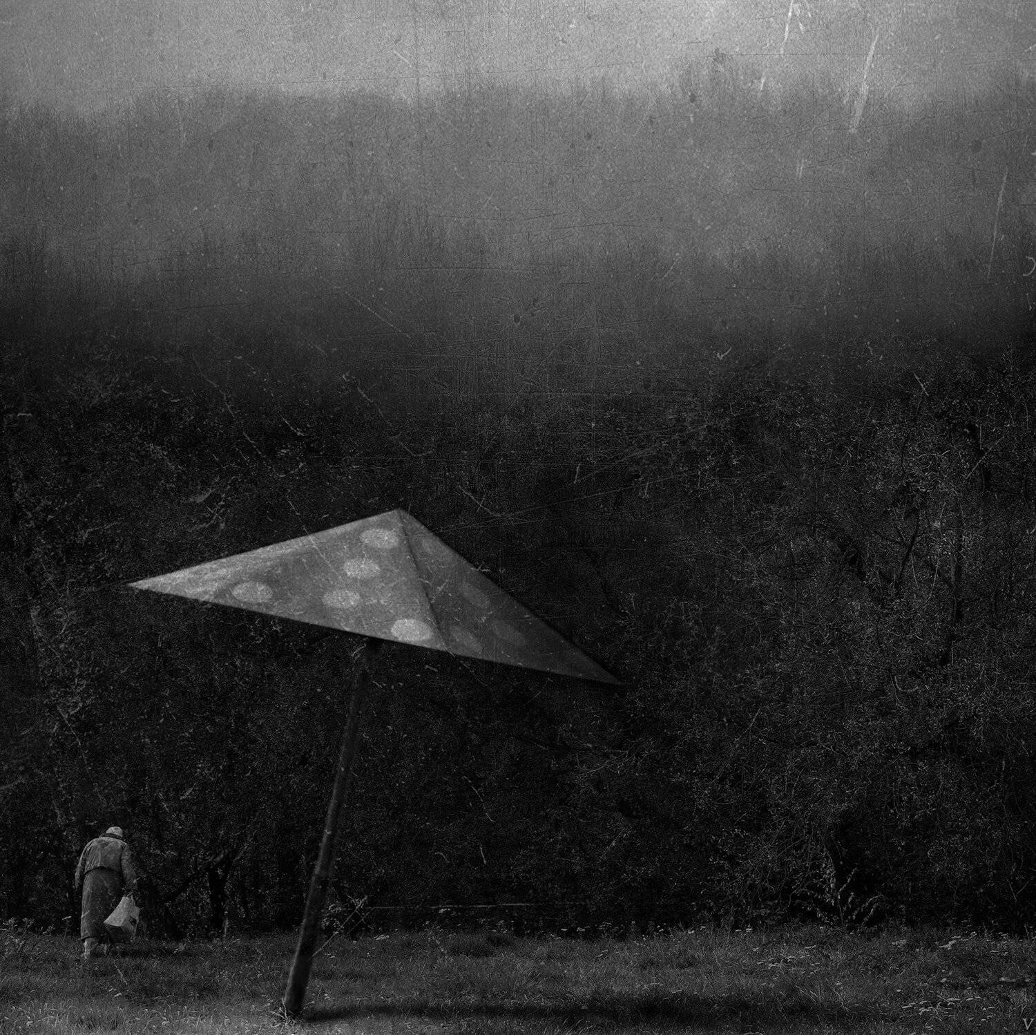 , Владислав Холодков