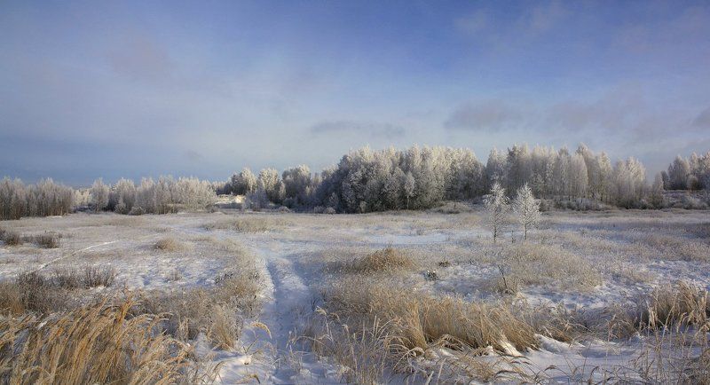 зима Русский пейзаж ) фото превью