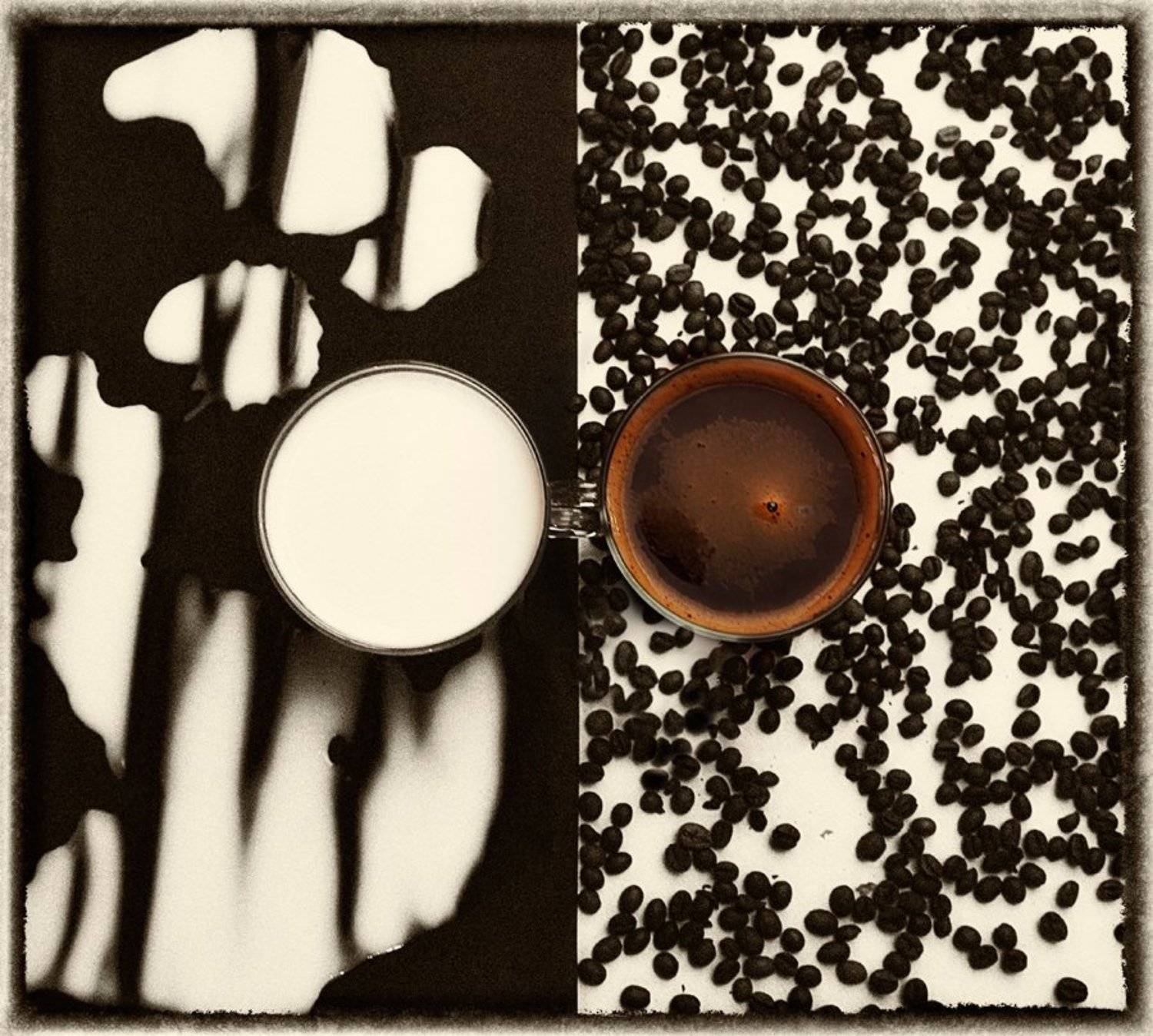 , Наталья Ковылина