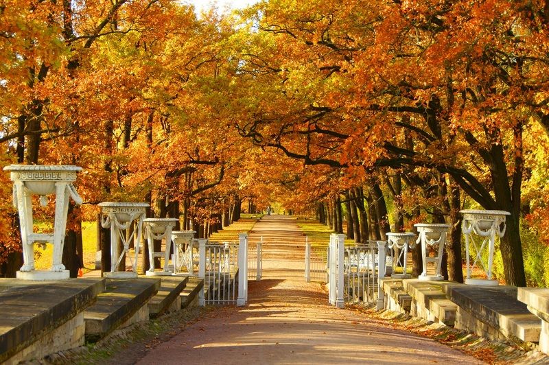 Autumn фото превью