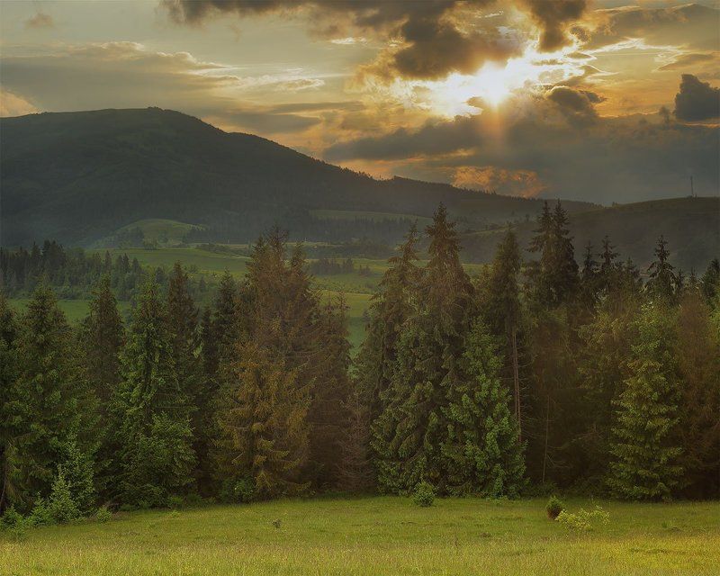 Вечерело в Карпатах фото превью