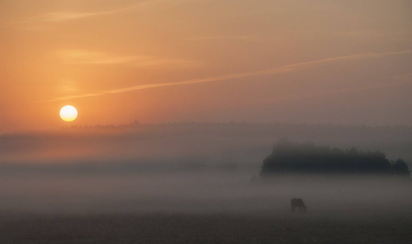 , Володимир Карчевський