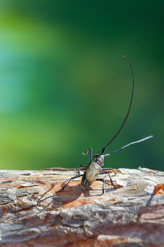 Испугался фото превью