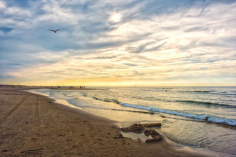 Clouds, Evening, Holland, Landscape, Light, Nature, People, Rotterdam, Sea, Seagull, Sky, Sunset, Waves warm North sea фото превью
