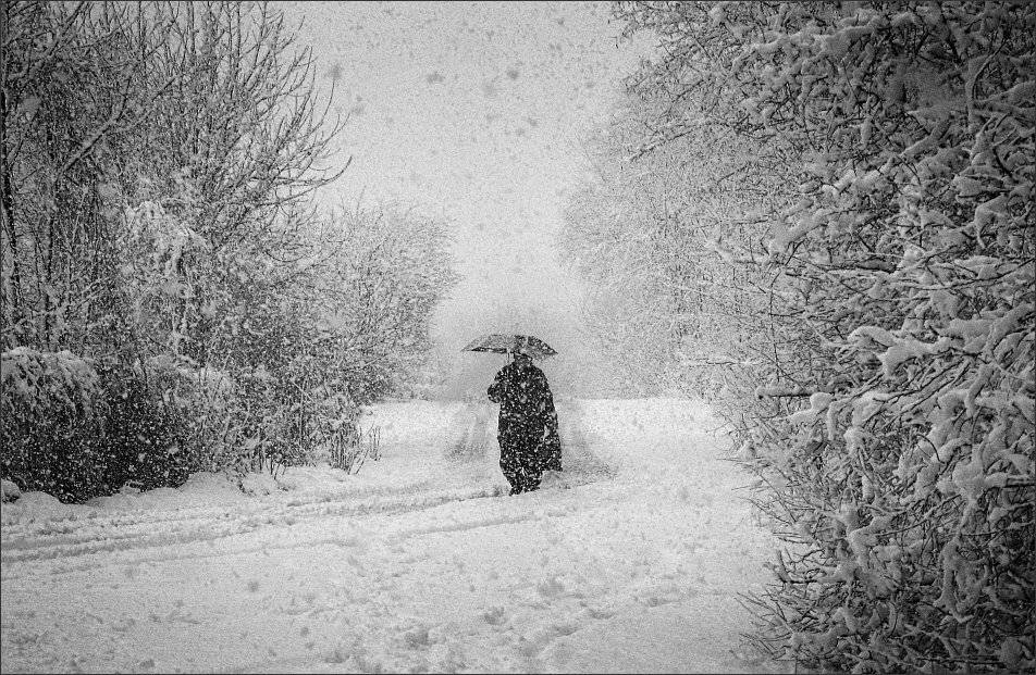 , Сергей Фудиненко