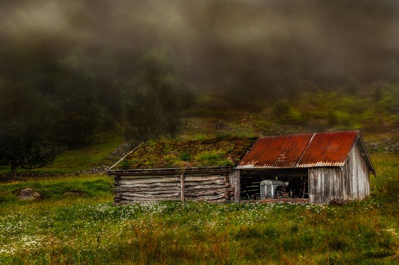 The last century. фото превью