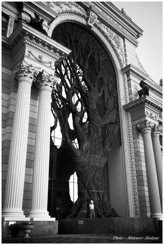 *** фото превью