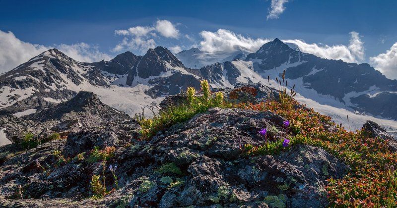 Альпийская горка фото превью