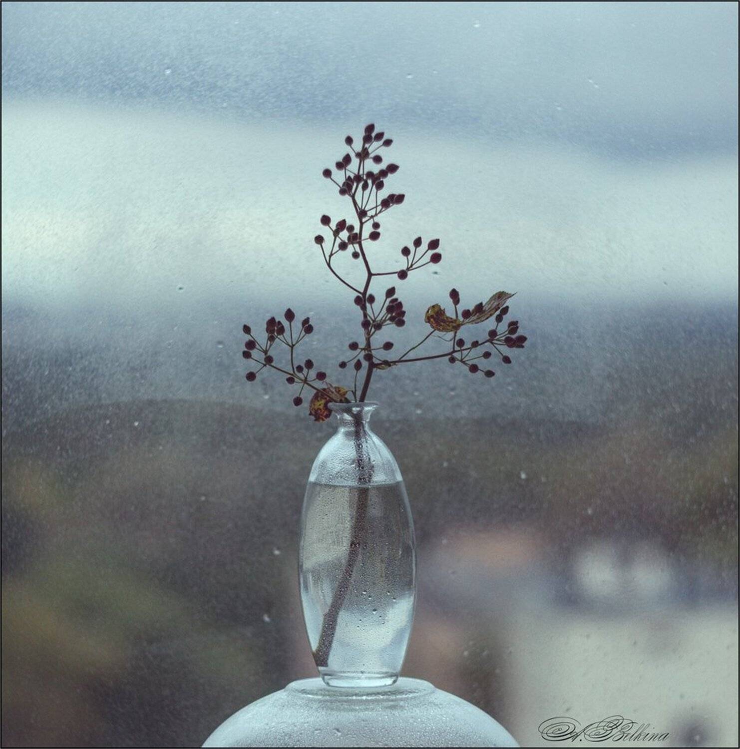 , Ариадна Белкина