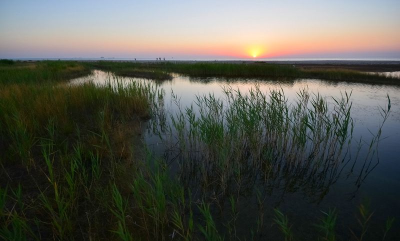 azov sea, berdyansk, азовское море, бердянск, приазовье На азовских лиманах фото превью