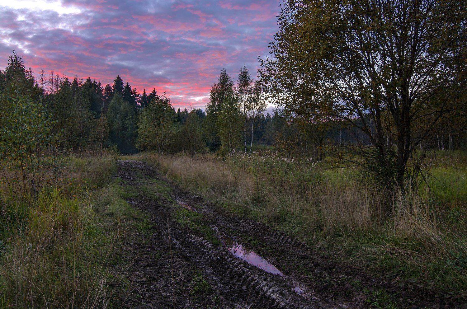 , Дмитрий Асеев