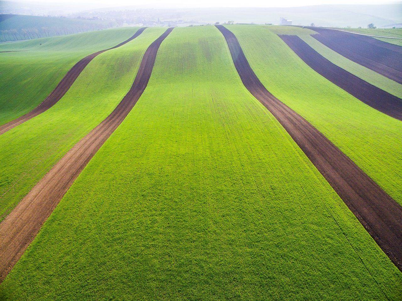 Aerial, Czech republic, Drone, Field, Green, Moravia, Quadcopter, Квадрокоптер, Ковер, Моравия, Поле, Холм, Чехия, Василий Яковлев