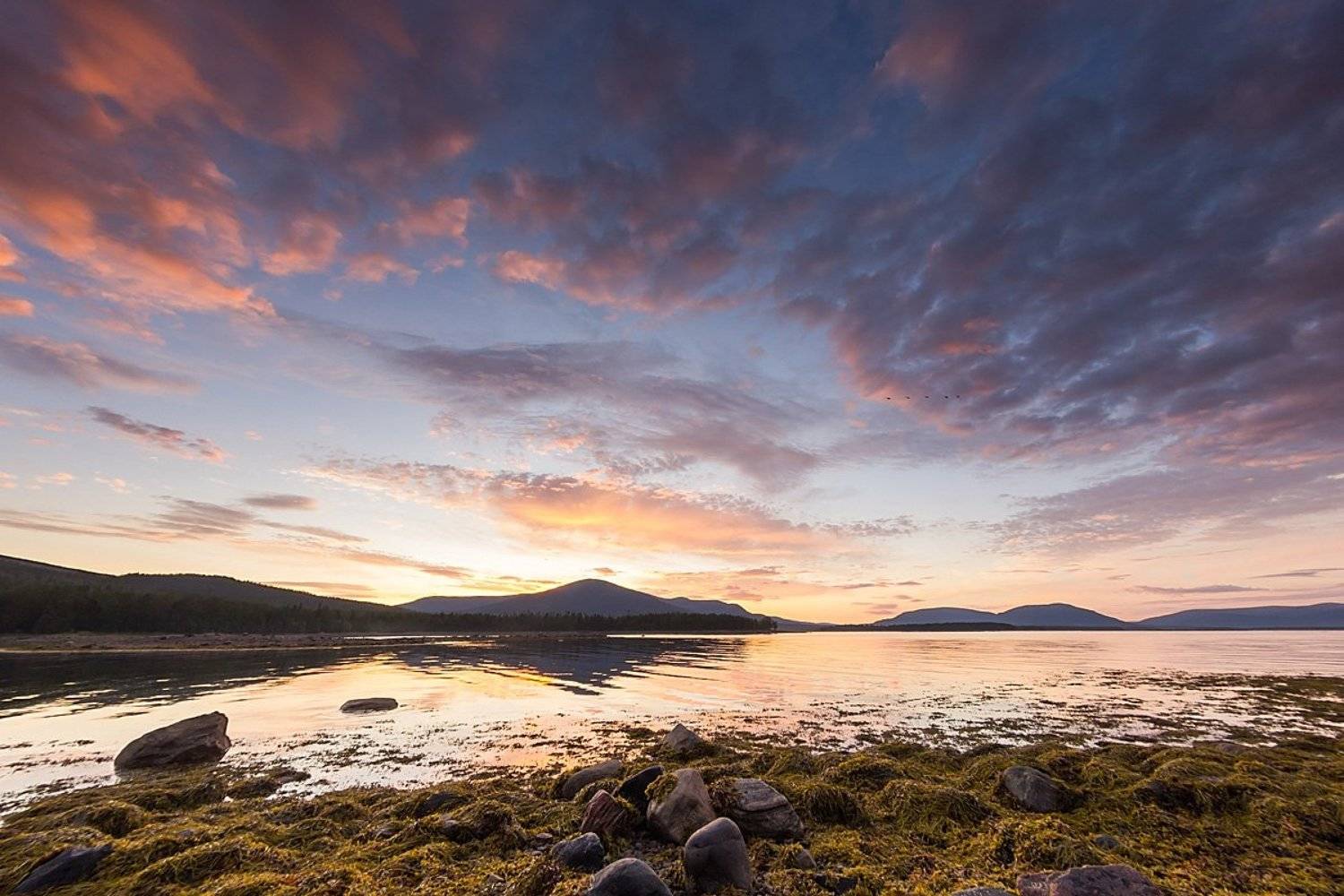 , Ирина Белотурова