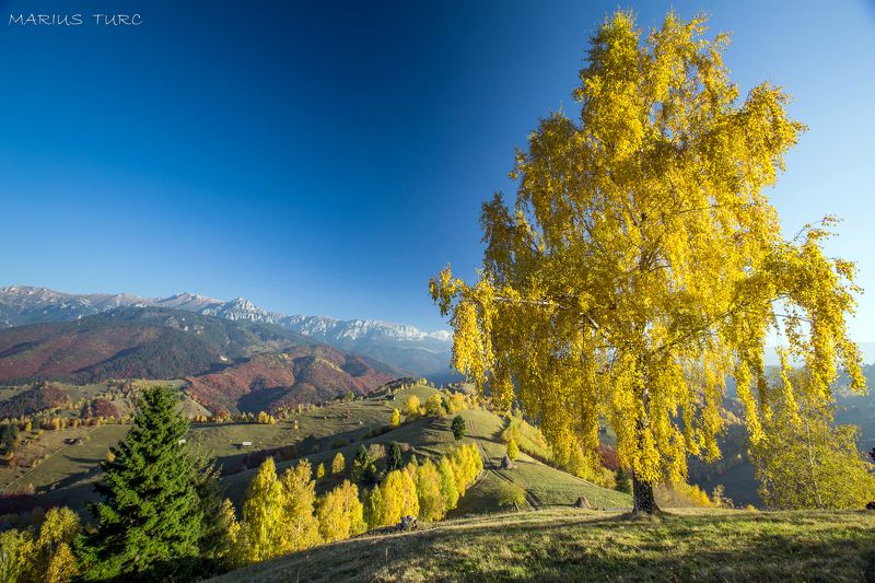autumn,fall,colors,trees,sky Autumn colors фото превью