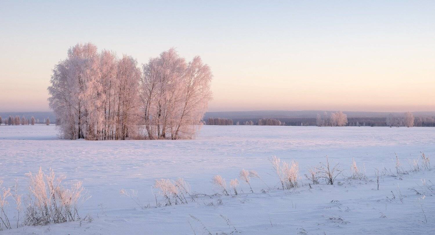 , Лещёнок Александр