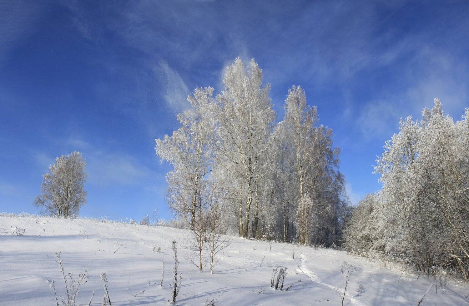 зима, Свистков Александр