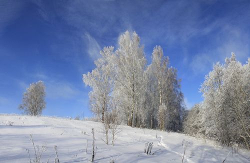 Русский пейзаж )