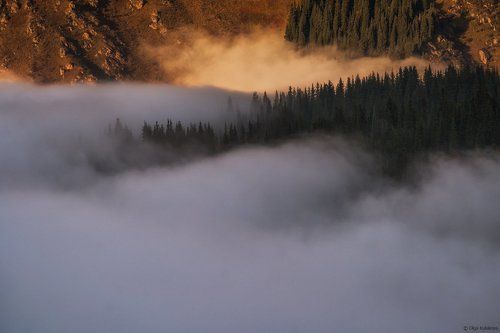 Осенние туманы