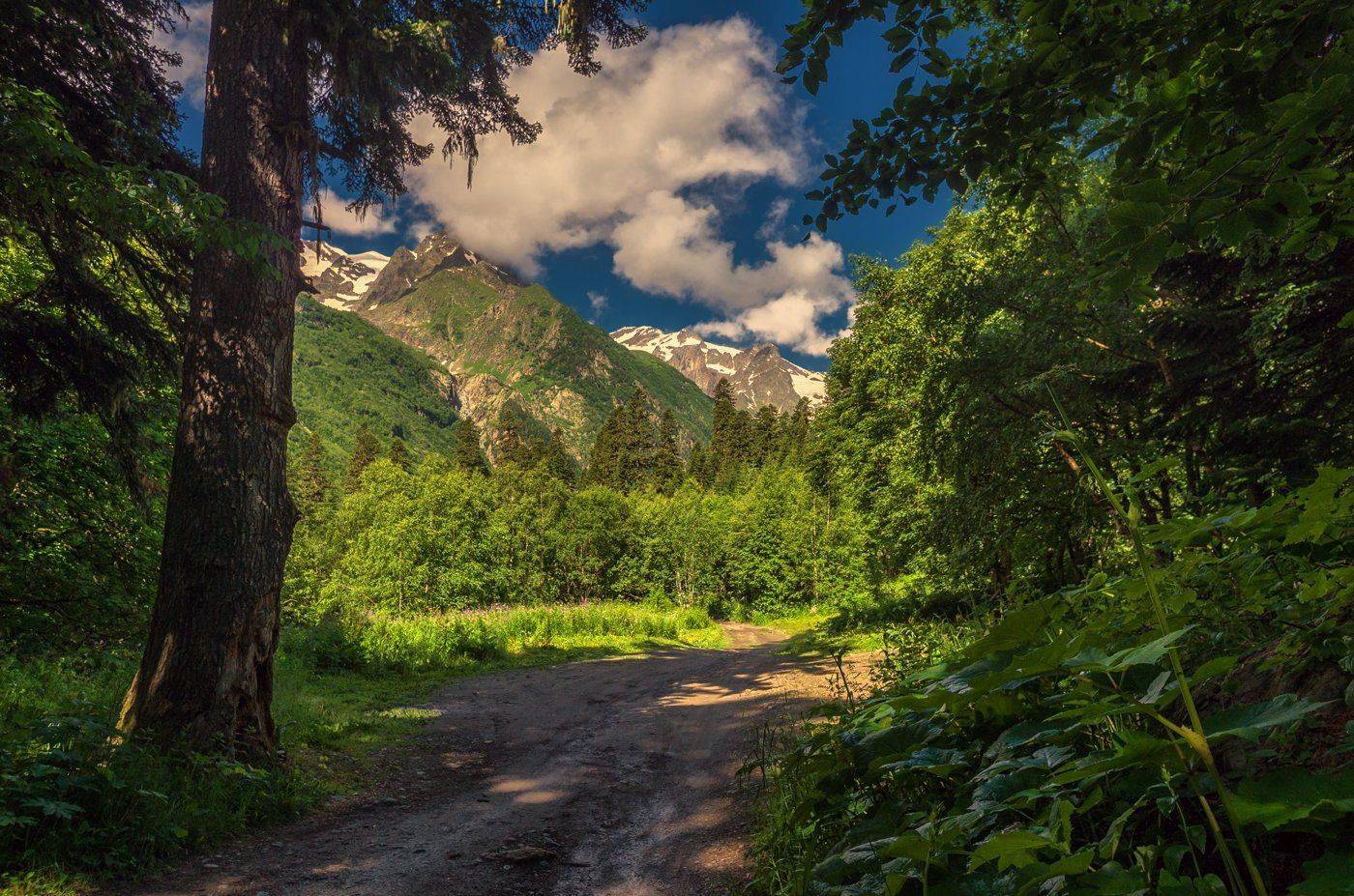 , Игорь Мелекесцев