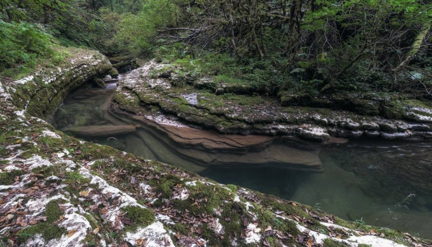 осень, 2016, реки, сухая, балка, сентябрь, ФЁДОР
