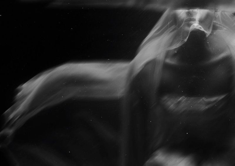 the fallen фото превью