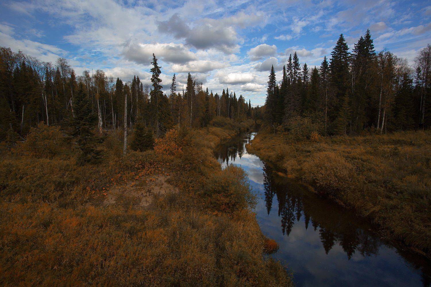 , Поташев Александр