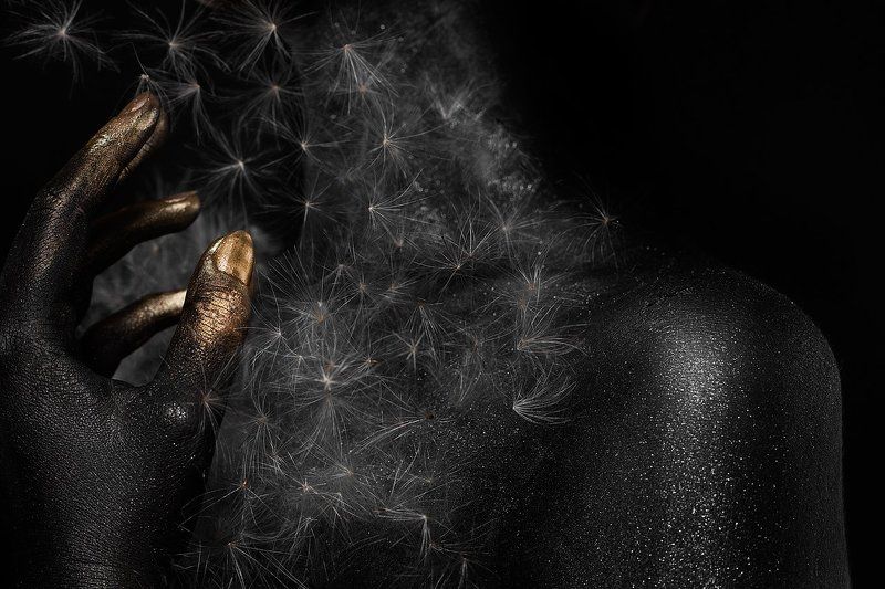 International Floral Art 2016-2017 фото превью