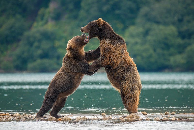 Это любовь... фото превью