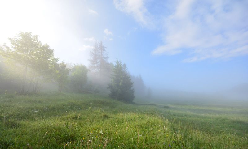 утро, туман, карпаты, karpaty Утренняя фото превью