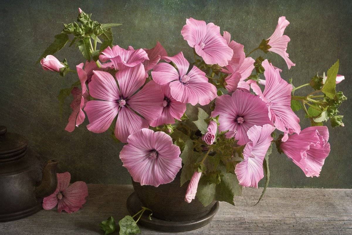 , Игорь Токарев