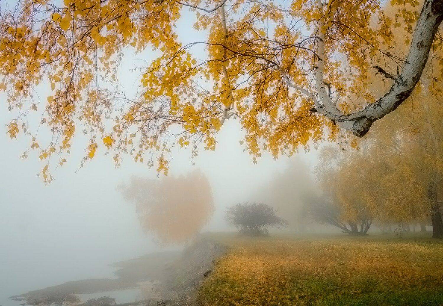 , Николай Морский