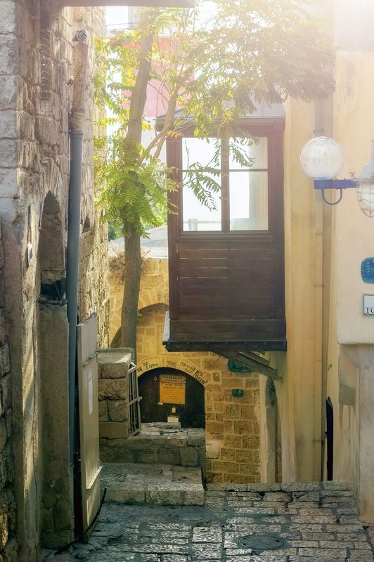 Утро фото превью