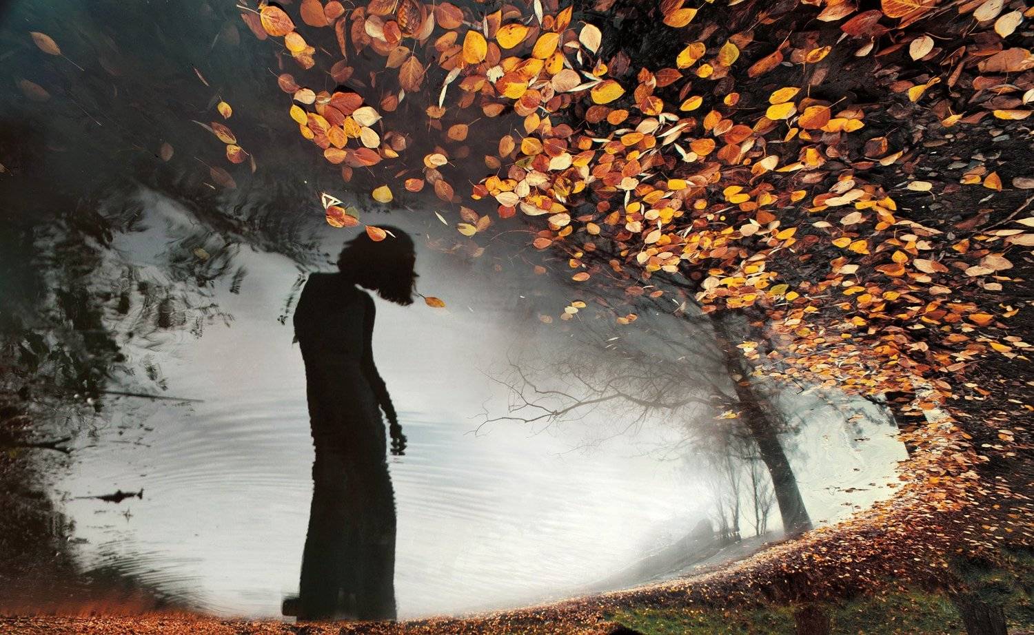 , Михалюк Сергей.